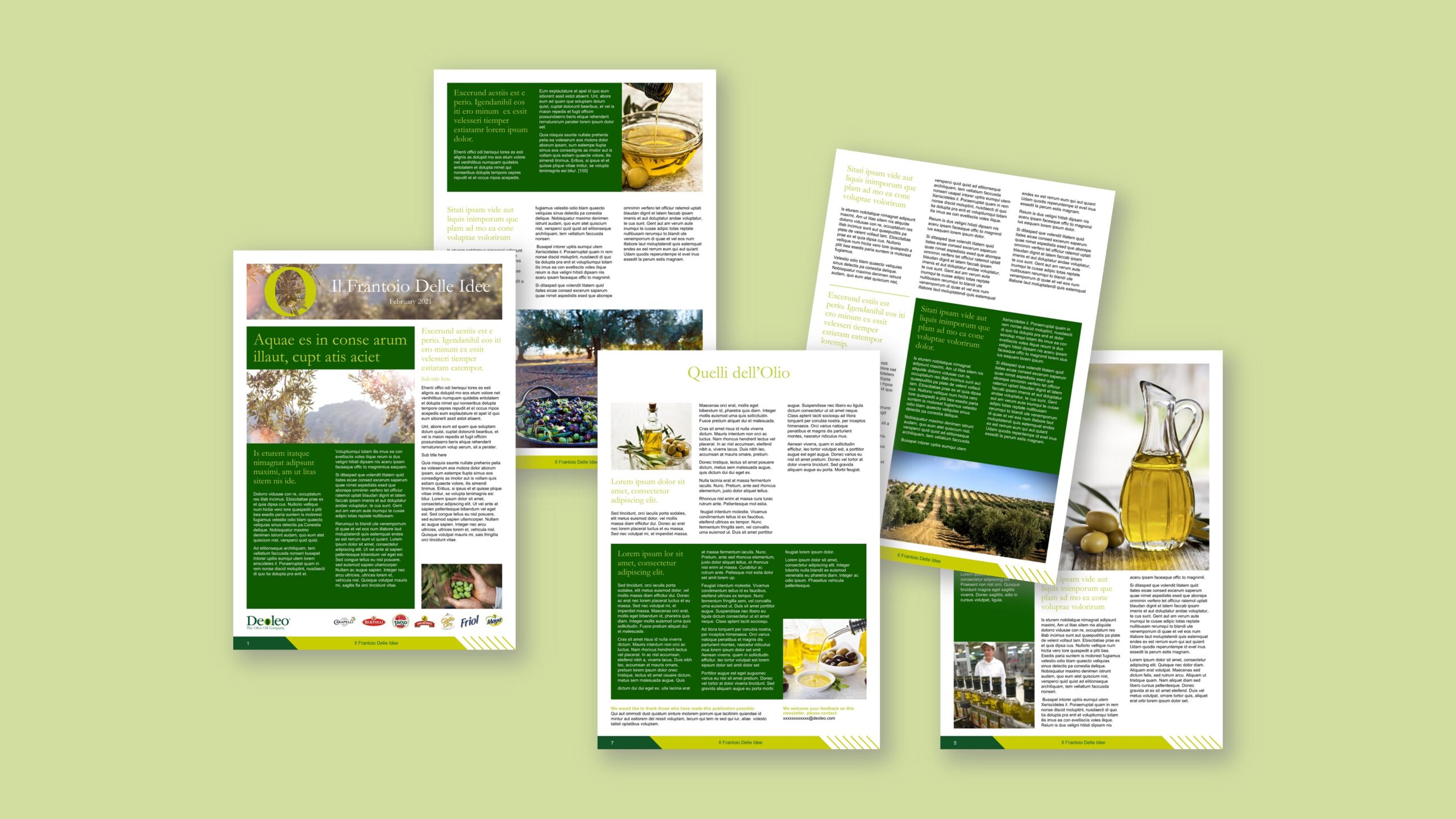 PowerPoint brochure template and slide design for DeoLeo – ZOARC Creative presentation design expert