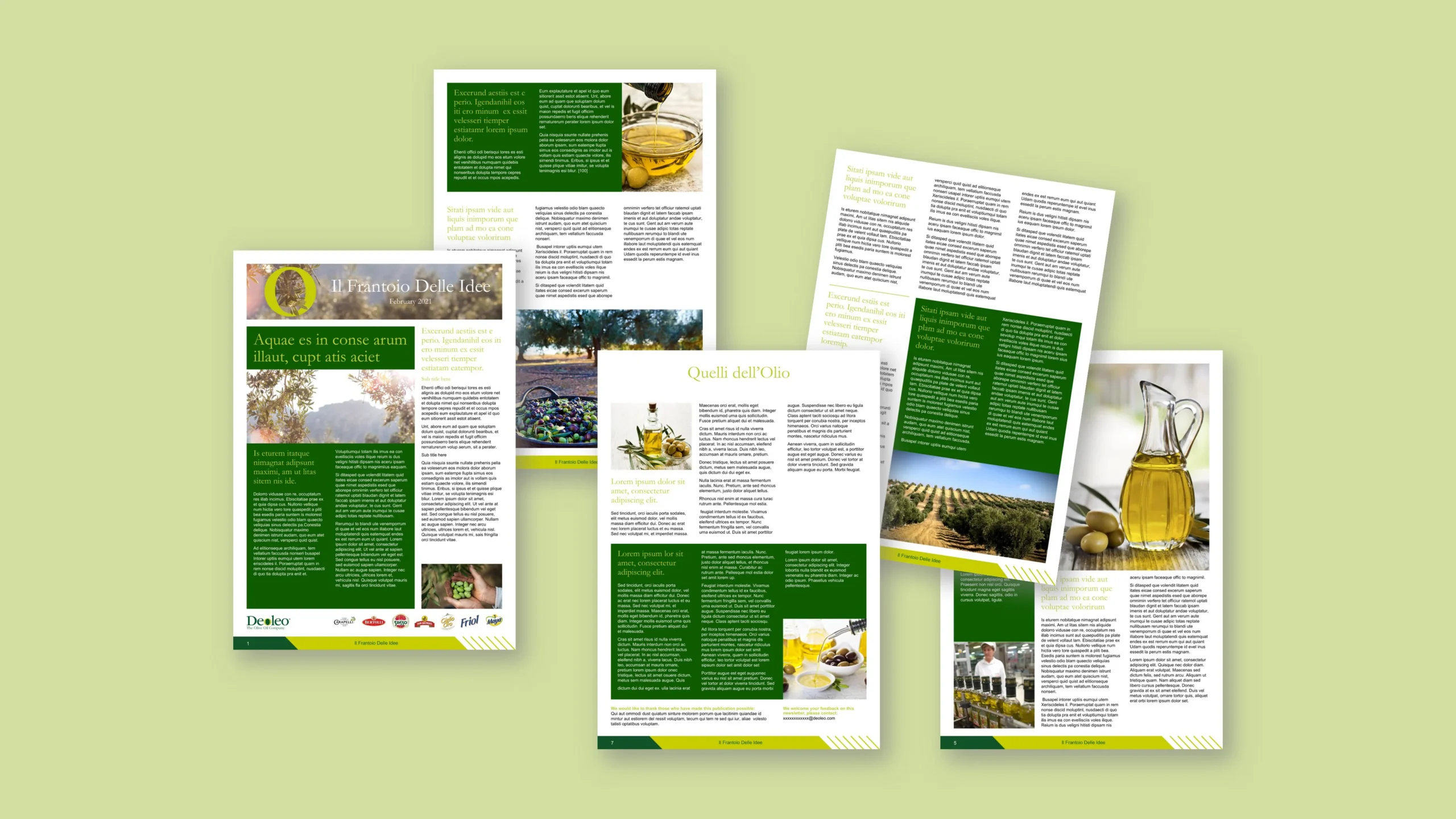 PowerPoint brochure template and slide design for DeoLeo – ZOARC Creative presentation design expert