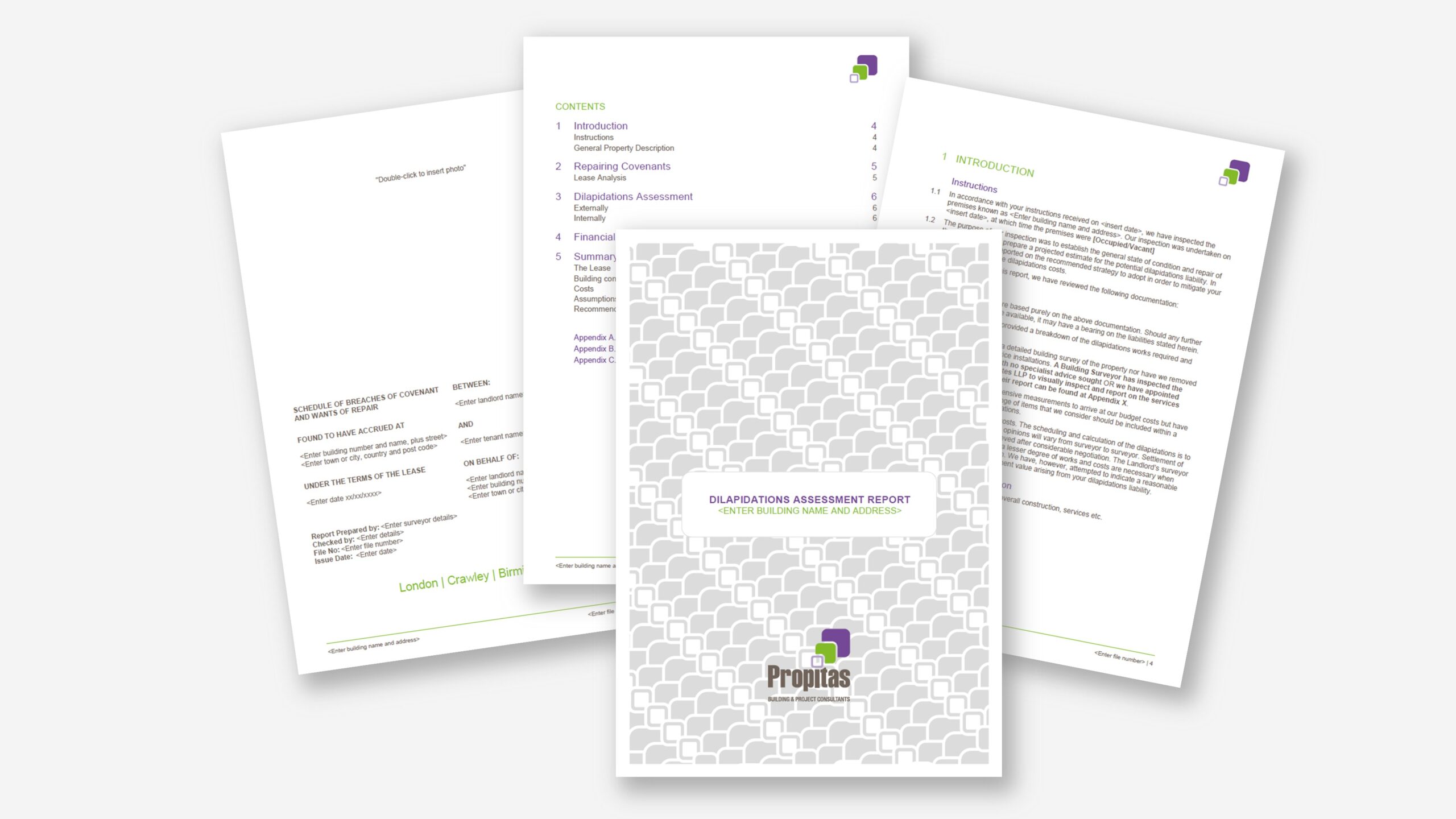 Word template for Propitas with structured styles and branded formatting by ZOARC Creative.