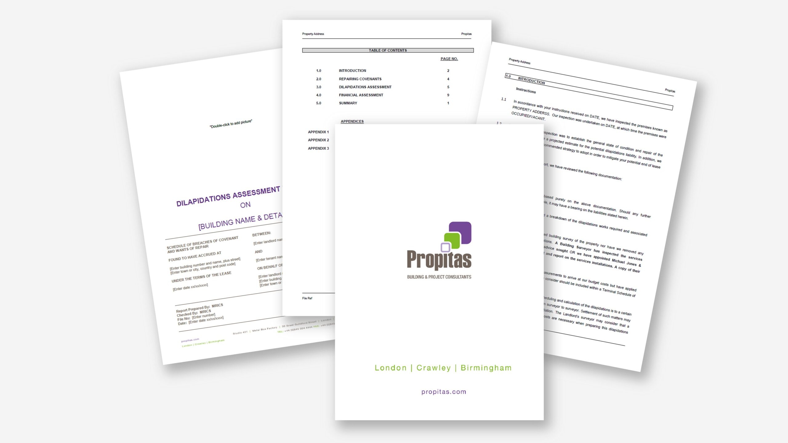 Word report for Propitas with manual formatting and uneven headings.