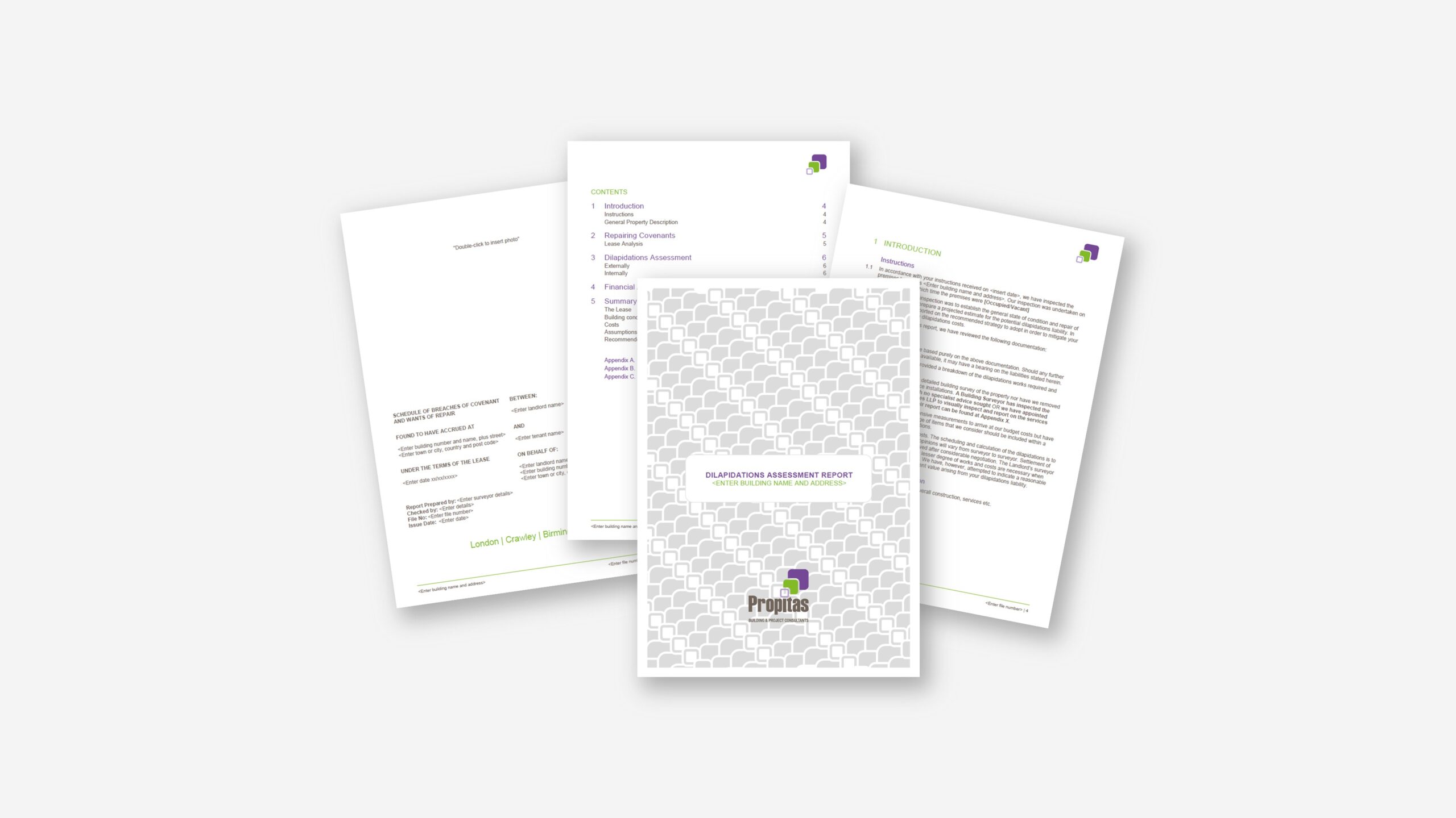 Professional Word template and formatting services for Propitas – ZOARC Creative