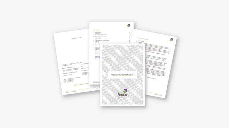 Professional Word template and formatting services for Propitas – ZOARC Creative