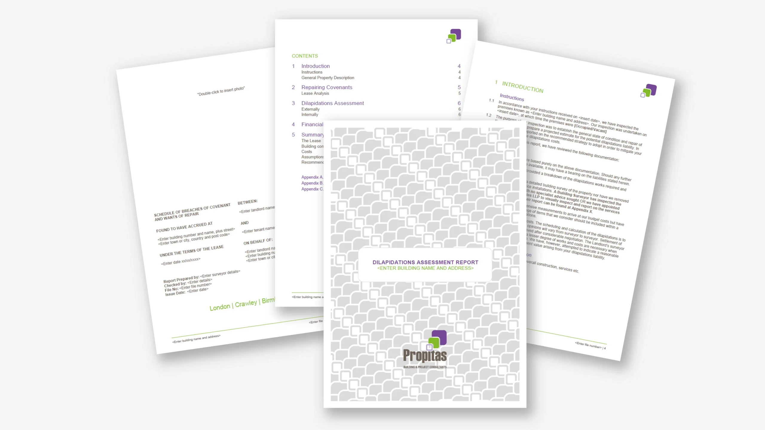 Word template for Propitas with structured styles and branded formatting by ZOARC Creative.