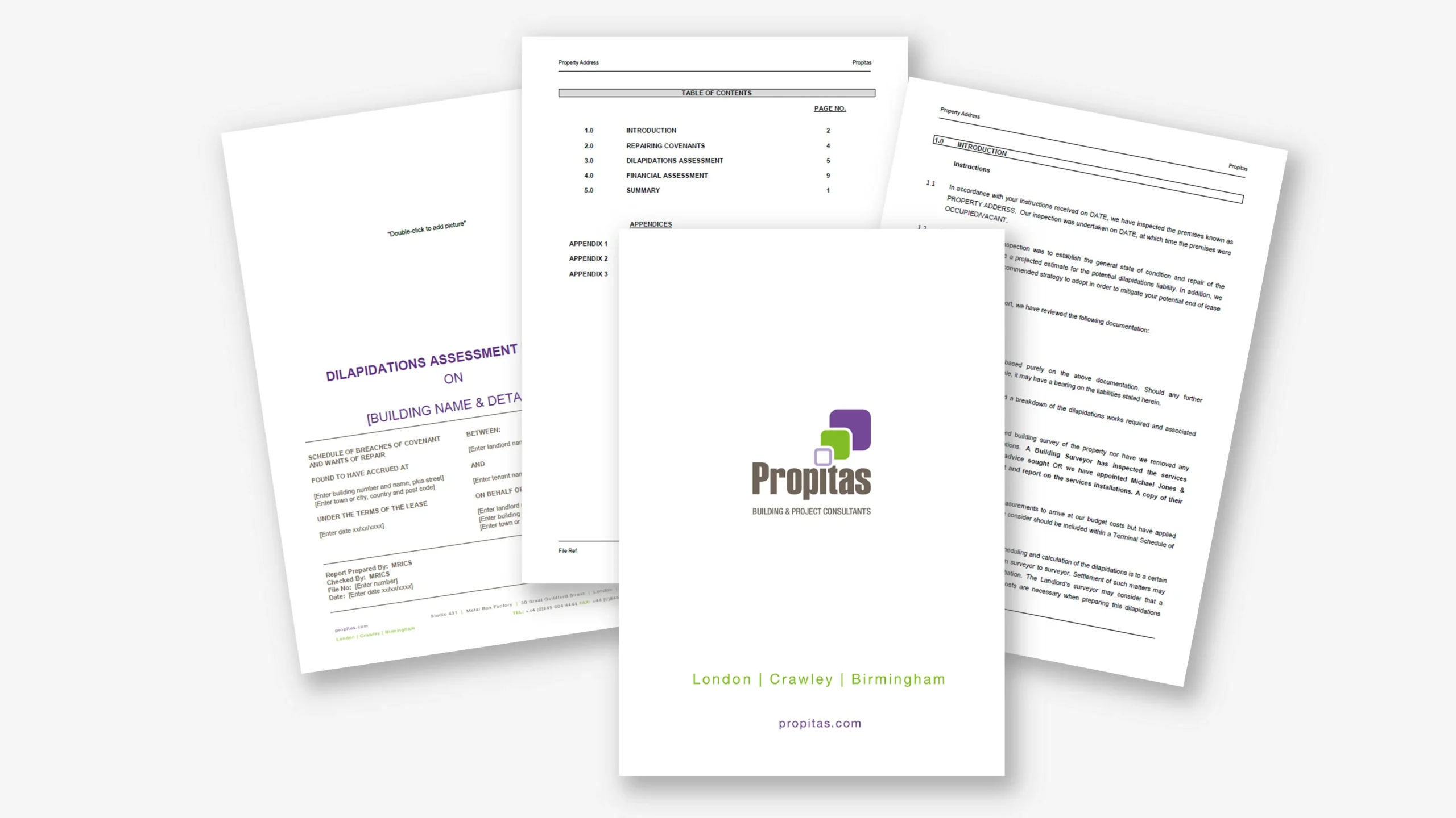 Word report for Propitas with manual formatting and uneven headings.